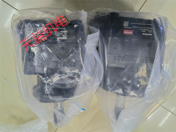 V20 1B11B 1A 11 EN1000 1.jpg