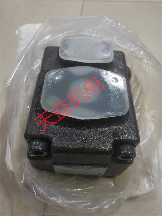 PV2R1-6-F-RAA-4326 1.jpg