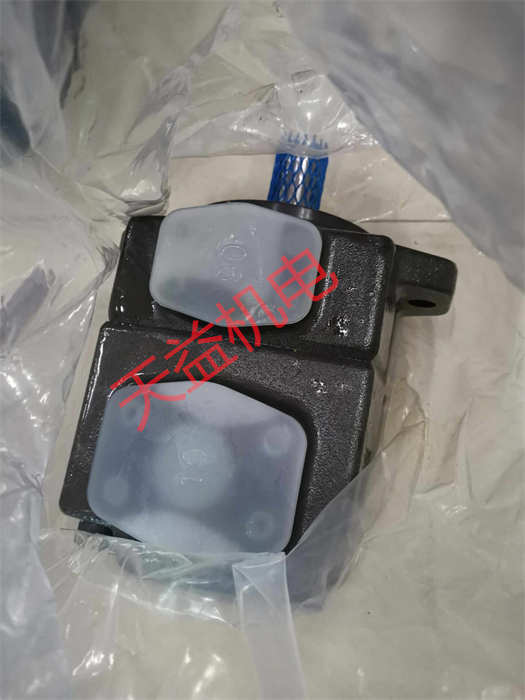 PV2R2-47-F-RAA-41 1.jpg